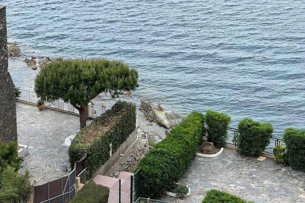 Apartamento Tres Habitaciones Con Vistas Al Mar En Росес Екстер'єр фото